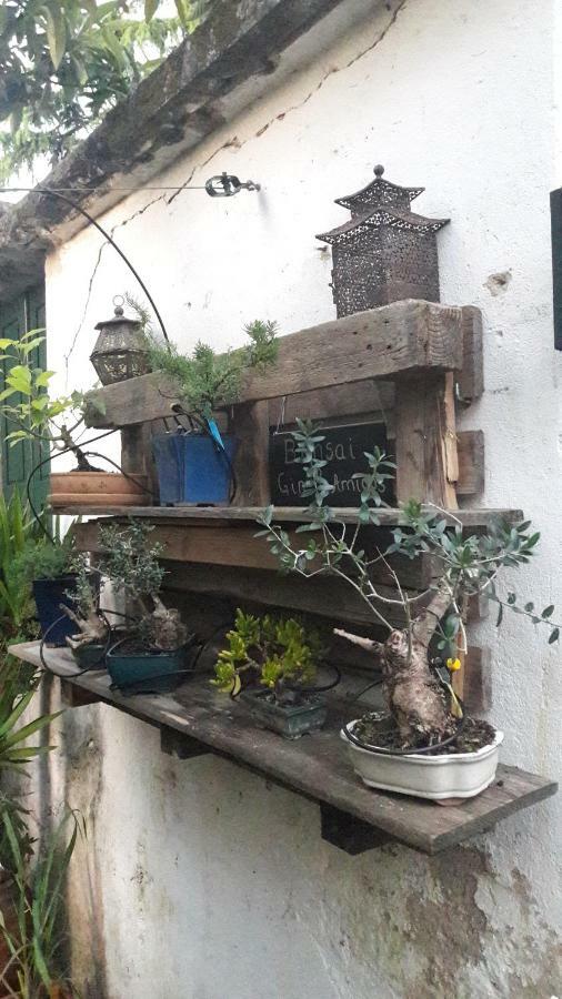 Отель Casa Коимбра Экстерьер фото